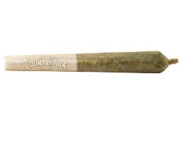 10th Planet PreRolls  10x