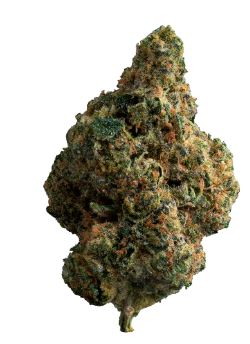 Product image Exotic Gas 1
