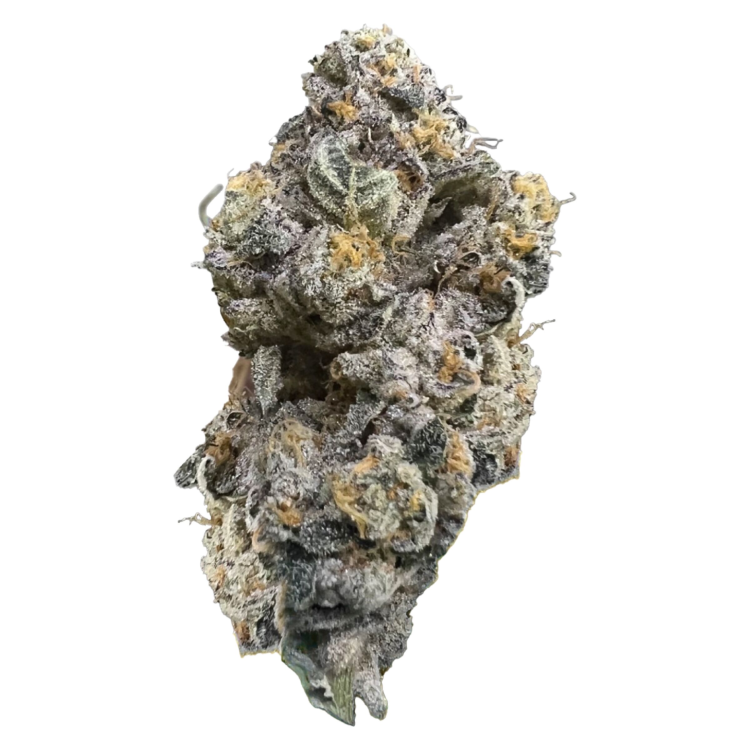 Product image Royal Dive #3: Hindu Glue 1