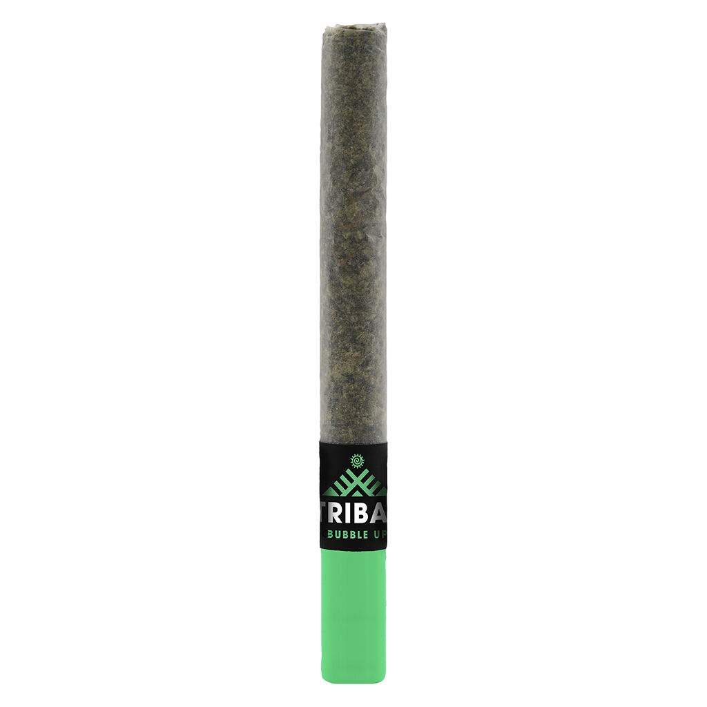 Tribal - Bubble Up Ceramic Tip Pre-Roll
