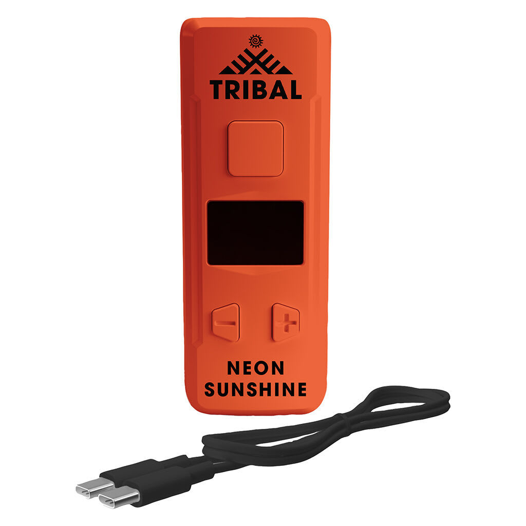 Neon Sunshine Kodo  Orange