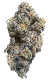 Product image Royal Dive #3: Hindu Glue 1