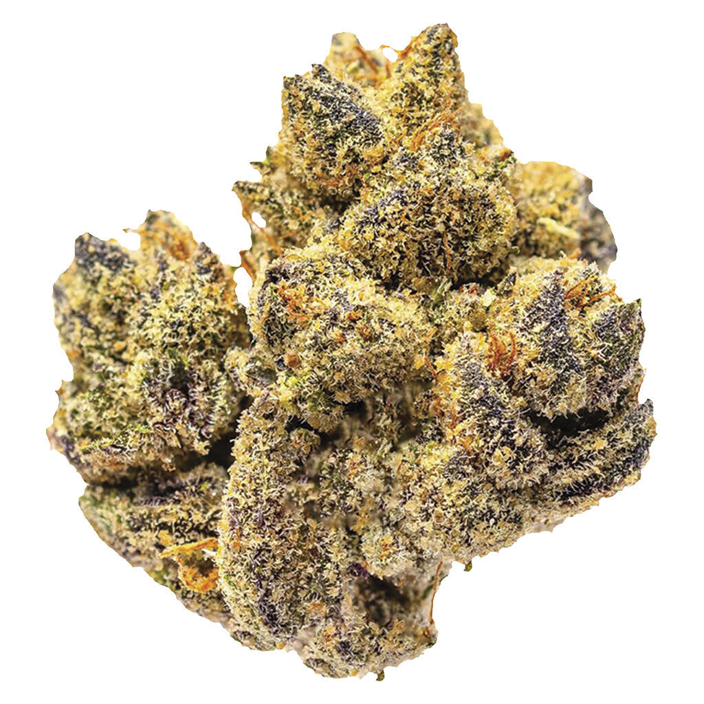 Potluck - Rocky Mountain High