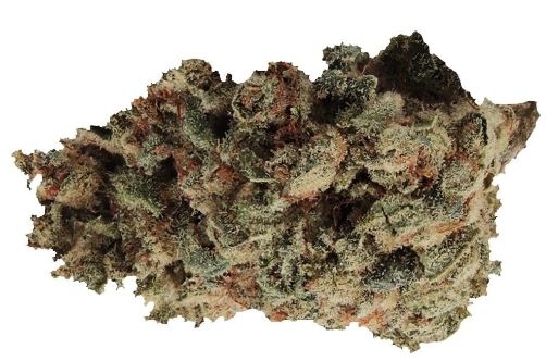 Product image SECRET FORMULA 1