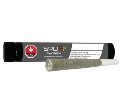 Cannon PreRoll  1x