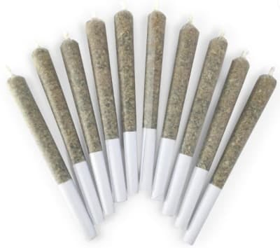 Product image Bangtail Preroll  10x 1